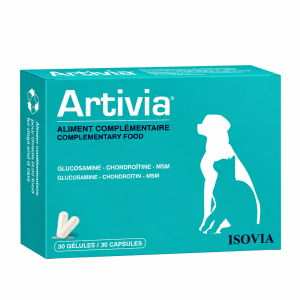ARTIVIA